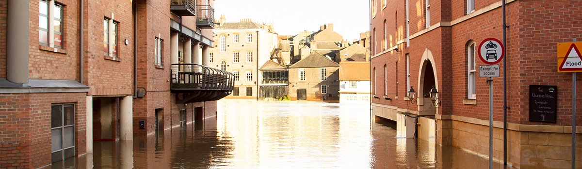 Global Climate risk in valuation reports: integrating climate considerations into professional valuation practice webinar