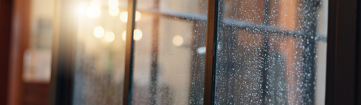 Global Permeability (breathability) and moisture in building conservation webinar