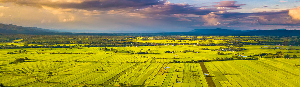 Global How regenerative agriculture supports sustainable land management webinar