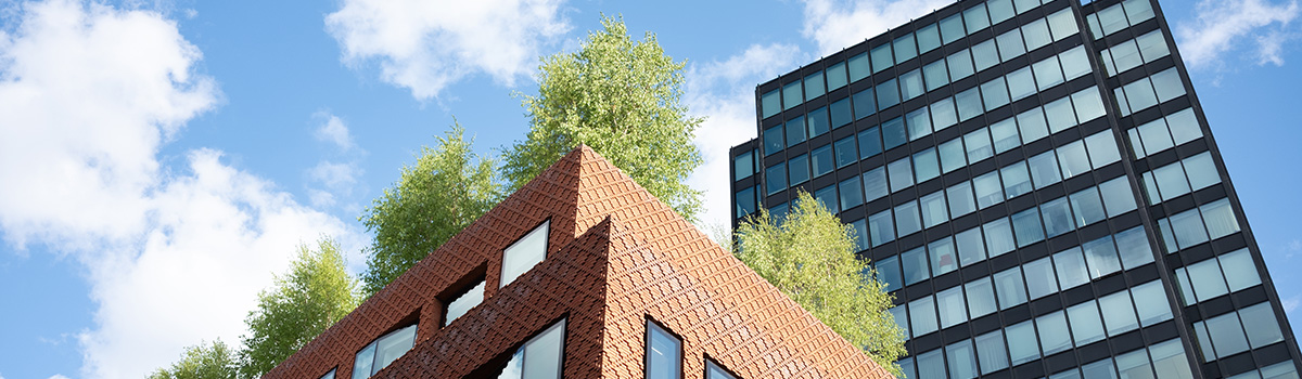 Global Sustainability regulations and property value: risks, opportunities and valuation implications webinar