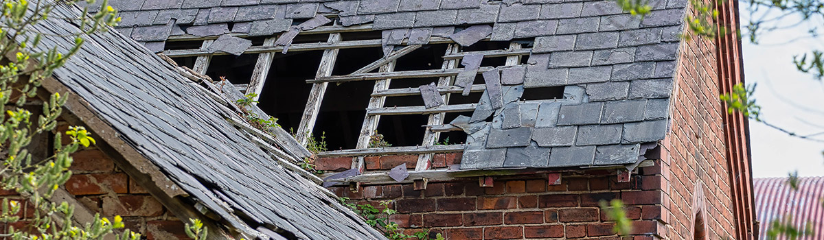 UK&I Housing disrepair claims: process, evidence and professionalism webinar
